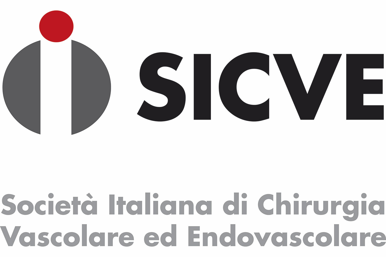 SICVE logo